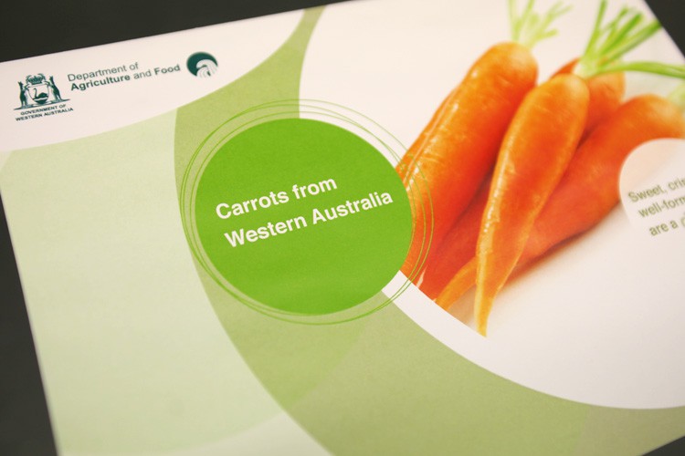 Department of Agriculture Information Pamphlet