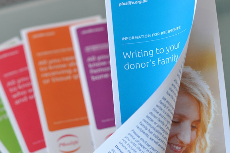 PlusLife Information Brochure