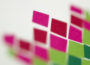 Waratah Rebrand Logo