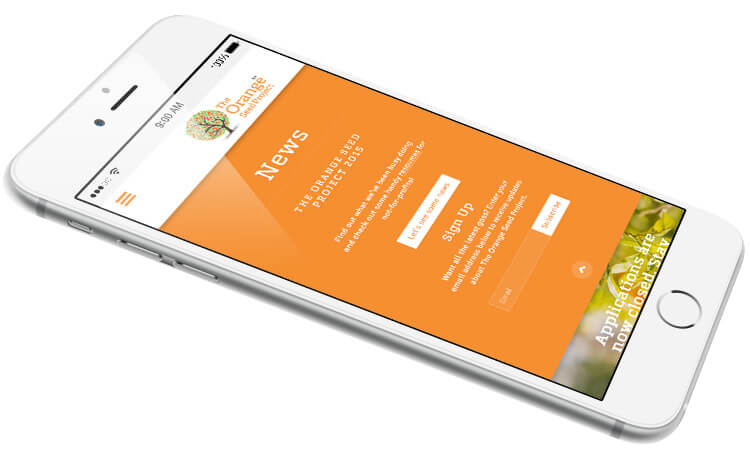 The Orange Seed Project Mobile Responsive Website