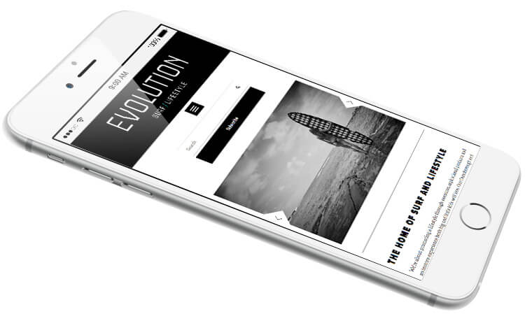 Evolution Mobile Responsive Website Image